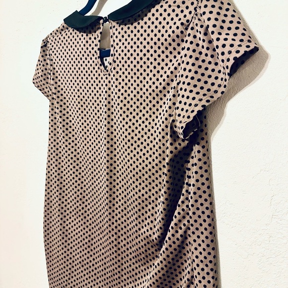 Julie's Closet Black Tan Polka Dot Blouse Peter Pan collar size XL EUC - Picture 6 of 6